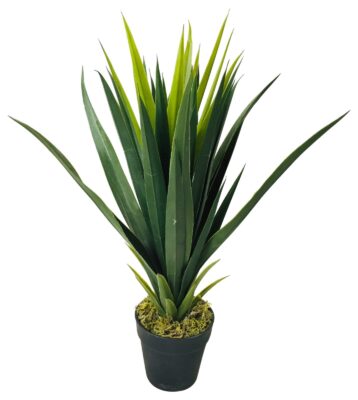 Artificial Yucca Plants UK | Large & Small Fake Yucca Plant