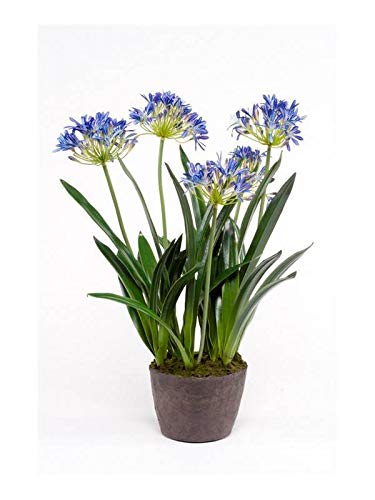 artplants.de Artificial agapanthus NASH, blue, 30