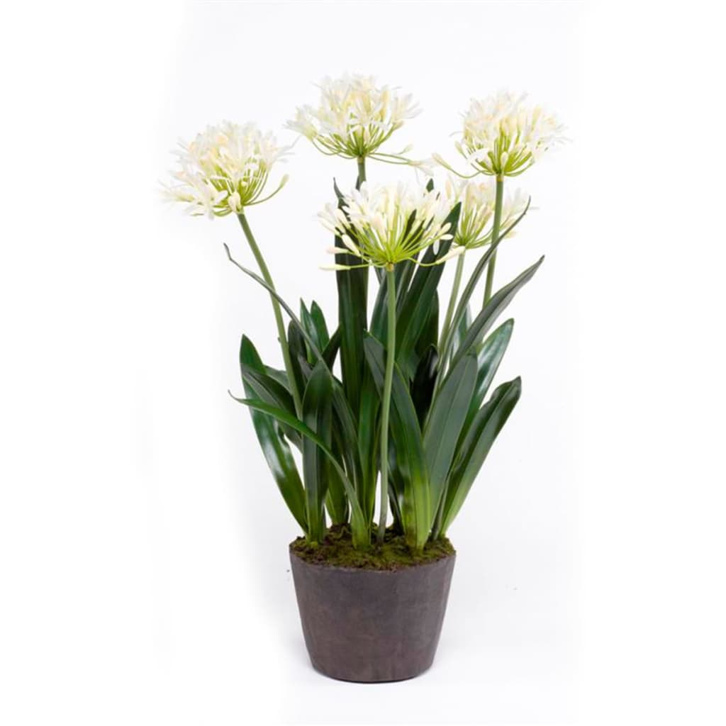 Artificial Agapanthus Plants UK | Fake Blue & White Flowers